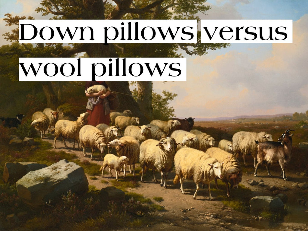 Down pillows versus wool pillows