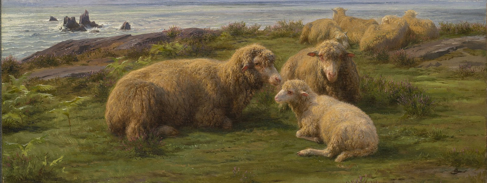 How Wool Is Processed For Wool Pillows