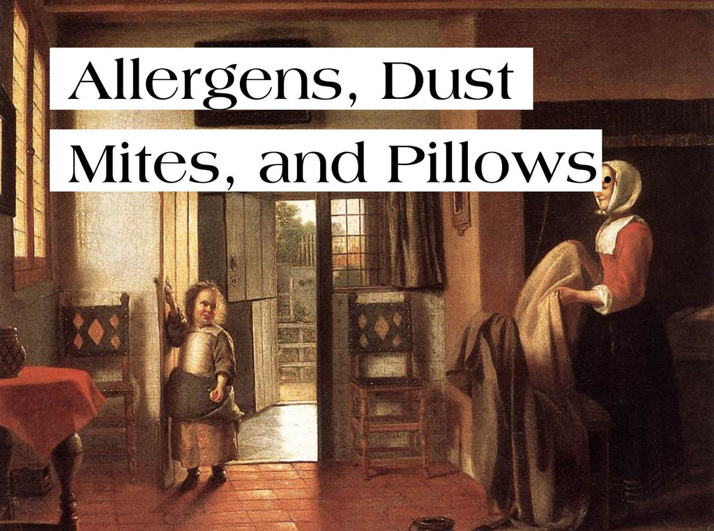 Pillow Allergy Guide: Dust Mites