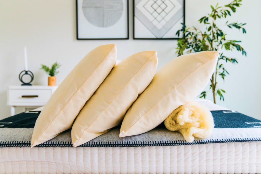Three wool pillows with virgin wool filling visible on a bed